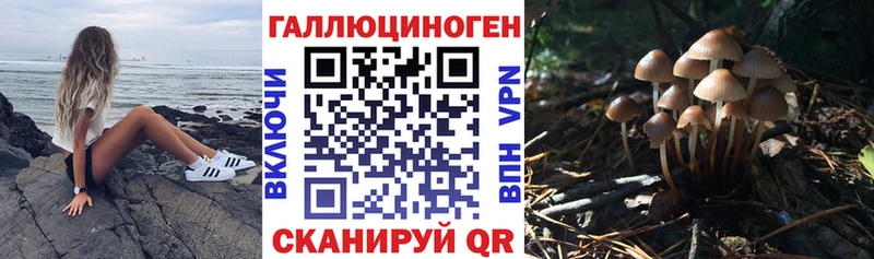 закладка  Чулым  Галлюциногенные грибы MAGIC MUSHROOMS 